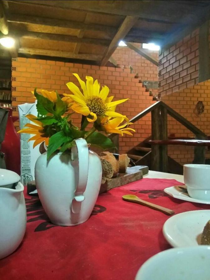 Villa Morena Benessere Florianópolis Kültér fotó