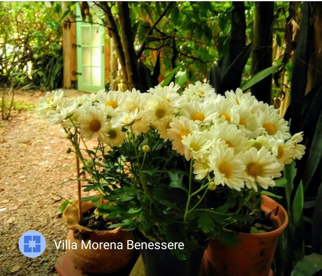 Villa Morena Benessere Florianópolis Kültér fotó