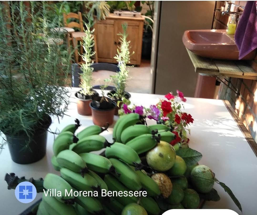 Villa Morena Benessere Florianópolis Kültér fotó