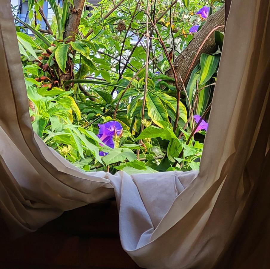 Villa Morena Benessere Florianópolis Kültér fotó